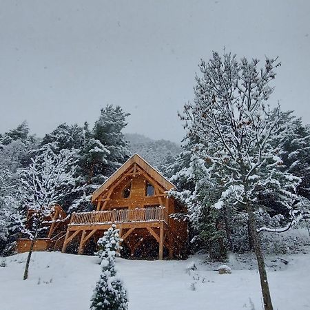 Chalet L'Empreinte Saint-Étienne-de-Tinée Zewnętrze zdjęcie